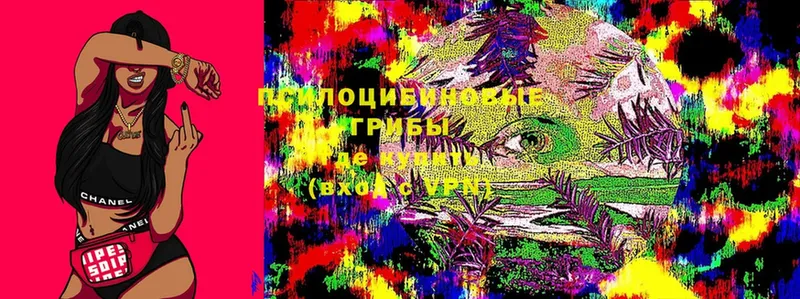 Псилоцибиновые грибы Magic Shrooms  Заинск 